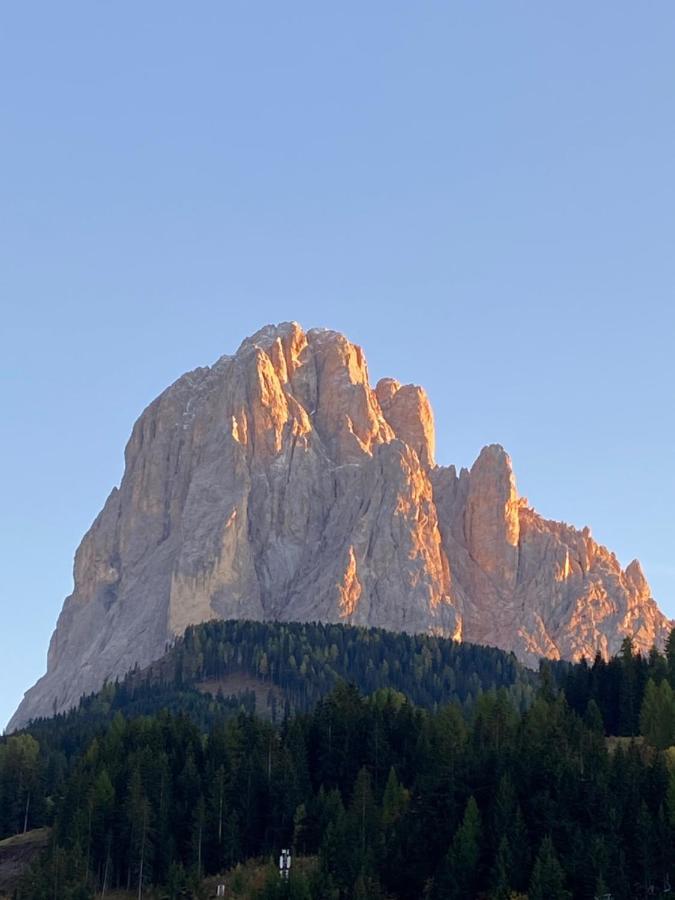 Apartments Mezdi Santa Cristina Val Gardena Экстерьер фото